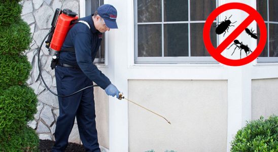 Beypazarı Tahtakurusu İlaçlama böcek ilaçlama ve haşere kontrolü — ilaclama-tr.com